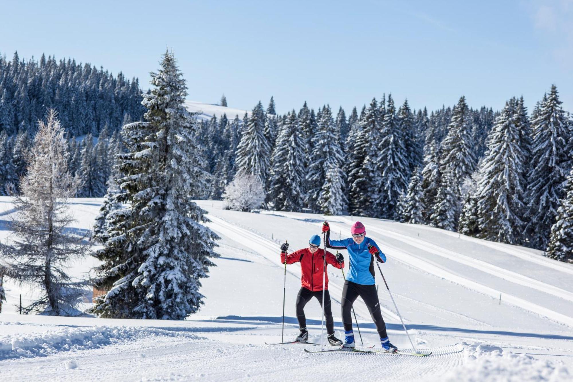 Ferienwohnung Seeblick Nr 5, 2 Zi-Baerental, Feldberg Rotwasser Экстерьер фото